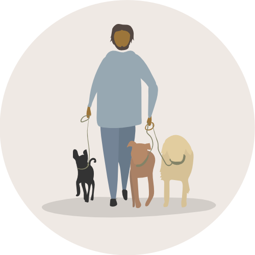 Hunde spazieren